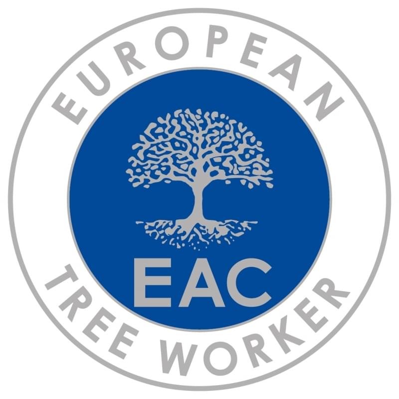 European tree worker in Essen